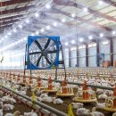 공덕농장 이미지