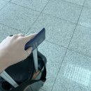 여행 1 (대만여행지원금 당첨, 시먼딩 시티즌M 호텔, 중화항공 후기, 아종면선, 삼미식당, 까르푸쇼핑)