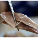 원조장수 이미지