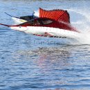 돌고래홀딩스 이미지