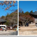 서창중학교 이미지