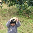 하나렘어린이집 이미지