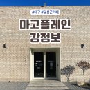 마고플레인 이미지