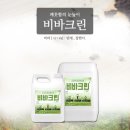 비바모텔 이미지