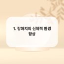 켄넬퀸비 이미지