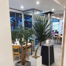 경포회센타 이미지