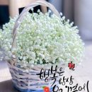 족구장 앞 이미지