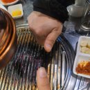 맘모스껍데기 이미지