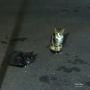 해나루펜션 | 인천 강화도 동검도 오션뷰 숙소 추천 해나루 펜션 바베큐 후기