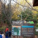 숲사랑유치원 이미지