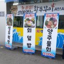 가성비 최고 덕계동 횟집 &lt;양주도매회센타&gt; 후기! 메뉴 가격 모듬회 매운탕 해산물 멍게