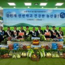 강원특판 이미지