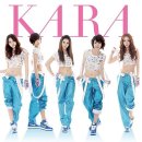 카라 이미지