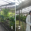 명환농장 이미지