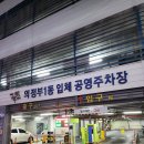 태양보룡 이미지