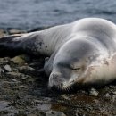 마린환경산업 이미지