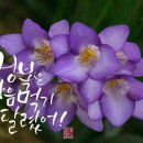 금요일