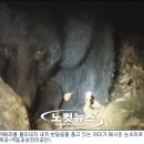 지리산밧데리