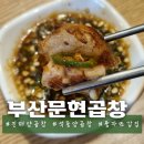 [진해] 석동 양곱창 '부산문현곱창' 솔직후기 (풍자 또간집)