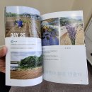 은골구기자마을 | '농촌에서살아보기 체험자 분들의 후기글' 책 출판