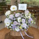 주정차-35 | [청주 용암동 무인 꽃집 후기💐] 24시간 열려있는, 라플로레라 (내돈내산 후기)