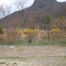 노래자랑으로~! 익산 케이케이엠씨(KKMC) 영농조합법인의 이동식노래방기기 대여 후기 렌탈 문의는 우림...