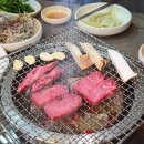 암소마당 | 울산 신상 맛집 신정동 고기집 암소마당