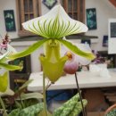 가족농장 이미지