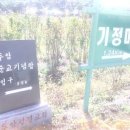 두암주유소 이미지