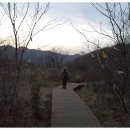 삼마전기 이미지