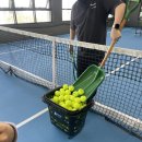 청림초등학교 | 동탄 테니스장 &#39;올어바웃테니스 동탄호수점&#39; 어린이 1:1개인레슨 후기