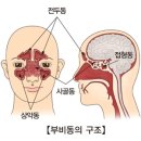 온기담은 한의원 네이버블로그
