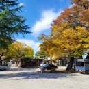 창평면사무소 이미지