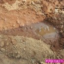 정정농장 이미지