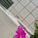 선풍공인중개사사무소 네이버블로그