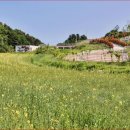 가야목장 이미지