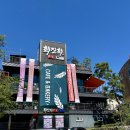 카페426