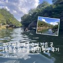 숲엔물 | 괴산 쌍곡계곡 바로 앞 평상이 있는 푸른숲 맑은물 후기
