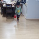 차가운탁구공 네이버블로그