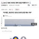 호르무즈 해협 호위 거부한 미 해군을 항명죄로 총살하라는 디씨 군사갤러리 조무사 이미지