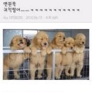 군산부부한의원 | 이렇게성실하게블챌하는데