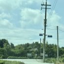 열명의농부채식당 이미지