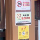 신참떡볶이수성롯데캐슬점 | [대구 만촌] 만촌동 술집 &#39;씨네마 맥주 만촌3동점&#39; 방문후기 - 야구 중계를 보며 술을 마실 수 있는 곳.