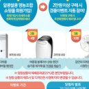 알콩쌀콩