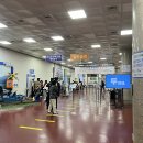 제주도 한달살기 결산 나홀로 뚜벅이 여행 제주도 한달살이 기록과 후기 1편