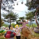 고창황토인삼 | [고창 여행] 고창 복분자와 수박 축제