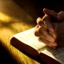 재영목장 이미지