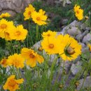 둥지농장2 이미지