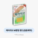 2026 지구런 마라톤 : 더 아시안 하이웨이 5km 후기