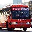 신강
